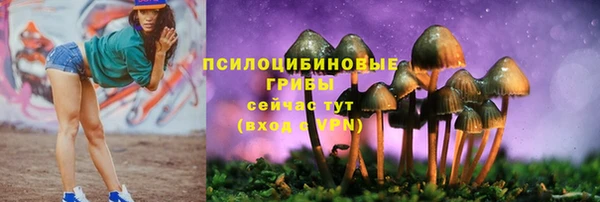 прущая мука Белоозёрский