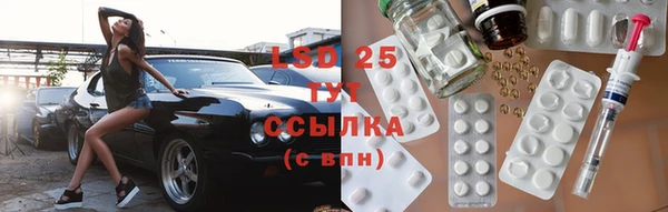 ПСИЛОЦИБИНОВЫЕ ГРИБЫ Белокуриха