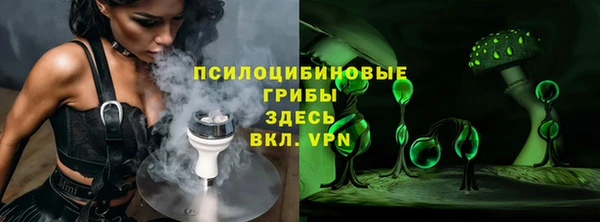 ПСИЛОЦИБИНОВЫЕ ГРИБЫ Белокуриха