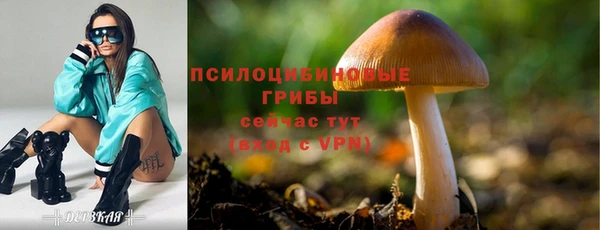 прущая мука Белоозёрский
