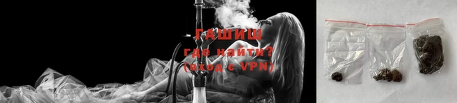 стаф Богородск