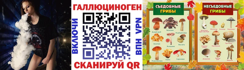 MEGA ТОР  Ижевск  Псилоцибиновые грибы Cubensis 